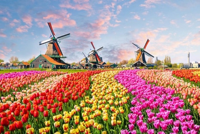 Holanda 15