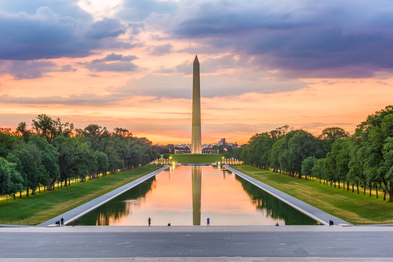 Nova York i Washington 15