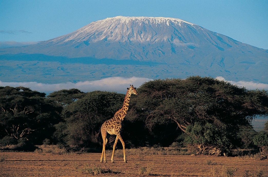 Tanzània 3