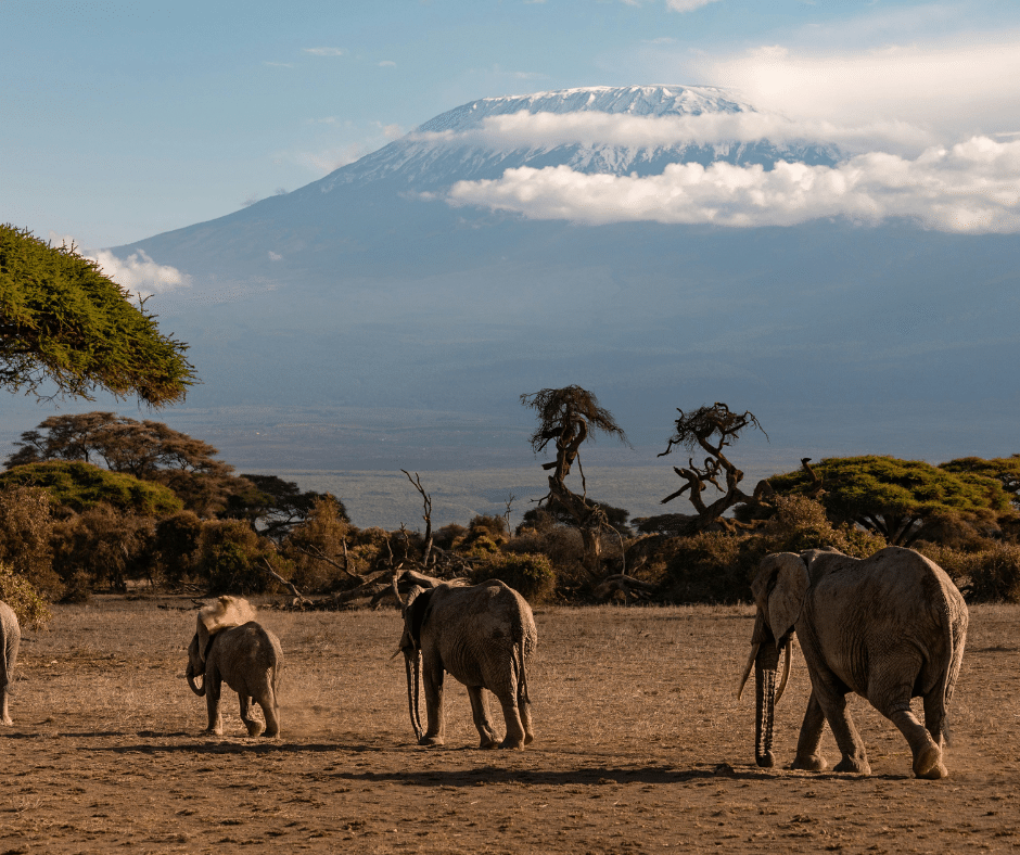Tanzània i Zanzíbar 5