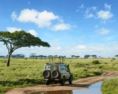 Tanzània i Zanzíbar 7