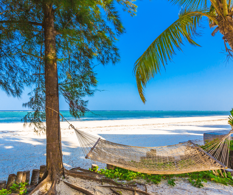 Tanzània i Zanzíbar 11