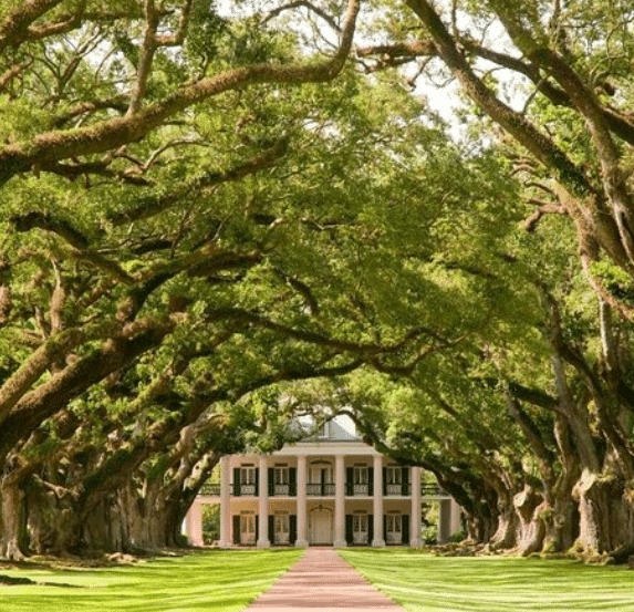 Chicago i Nova Orleans 9