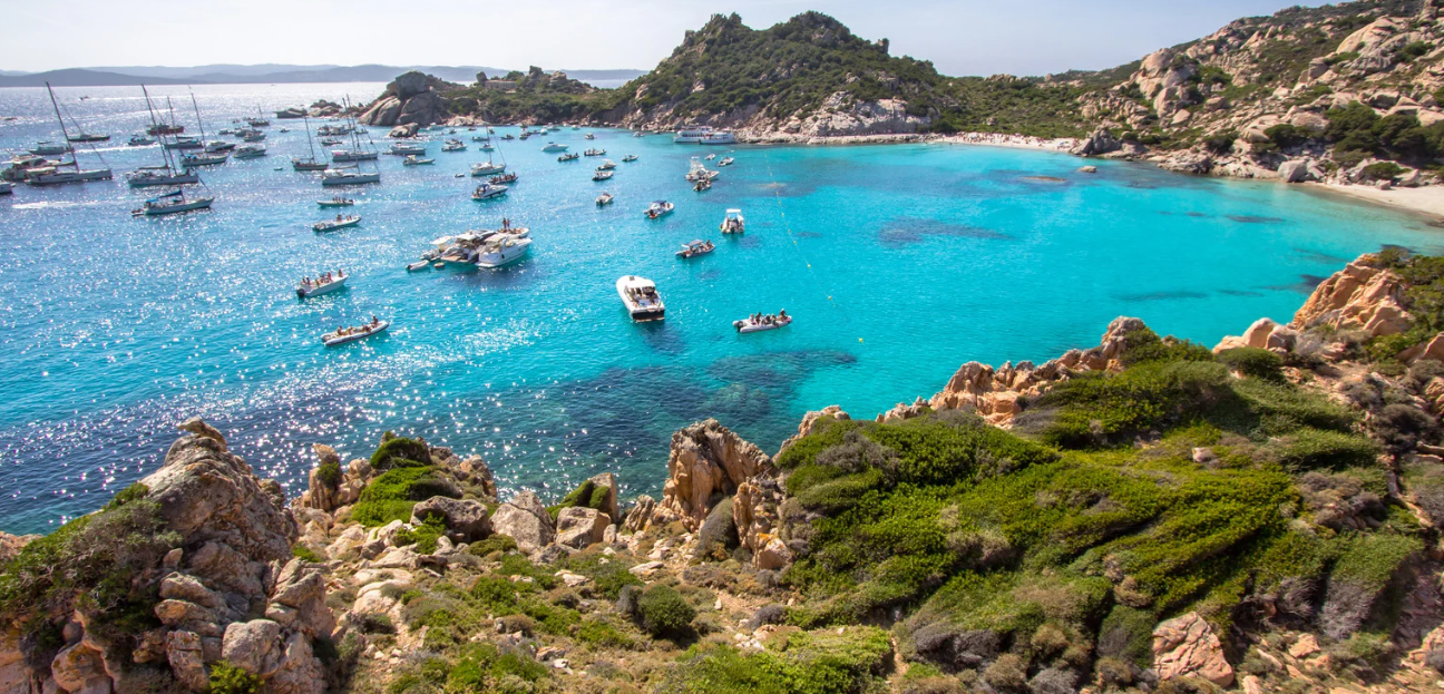 SARDENYA 6 SARDENYA 5