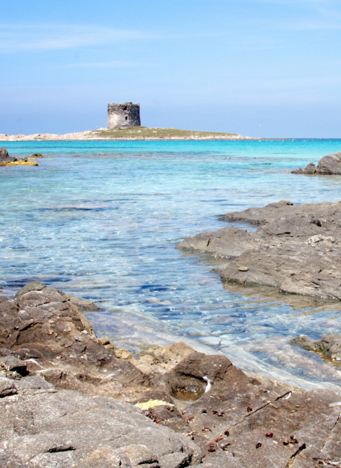 SARDENYA 8 SARDENYA 7